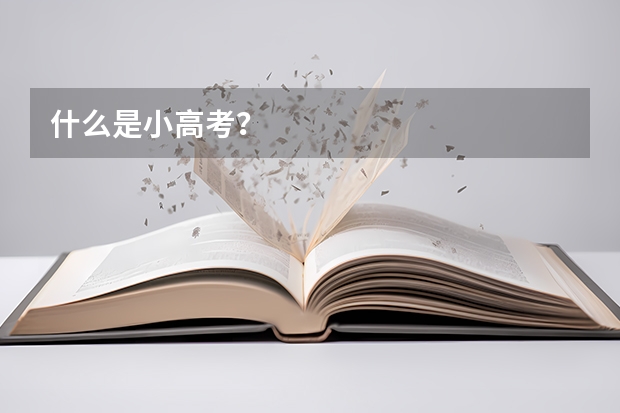 什么是小高考？