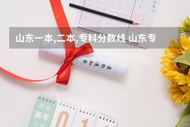 山东一本,二本,专科分数线 山东专科院校排名及录取分数线