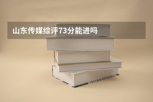 山东传媒综评73分能进吗
