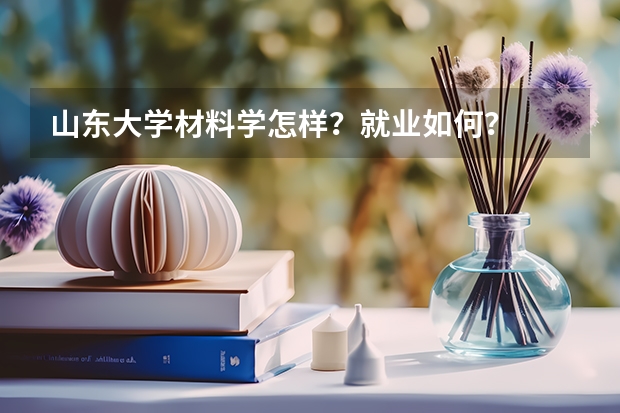 山东大学材料学怎样?就业如何?