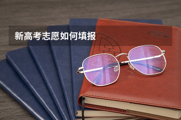 新高考志愿如何填报