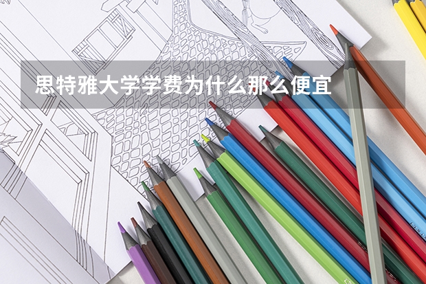 思特雅大学学费为什么那么便宜