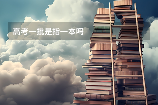高考一批是指一本吗