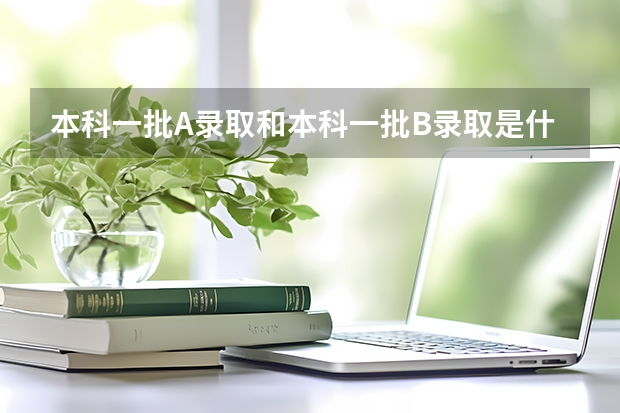本科一批A录取和本科一批B录取是什么意思？