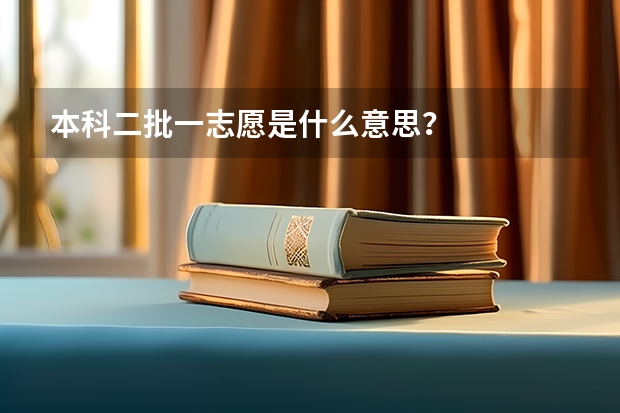 本科二批一志愿是什么意思？