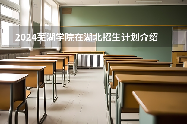 2024芜湖学院在湖北招生计划介绍