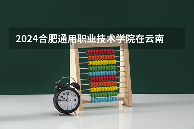 2024合肥通用职业技术学院在云南招生计划介绍