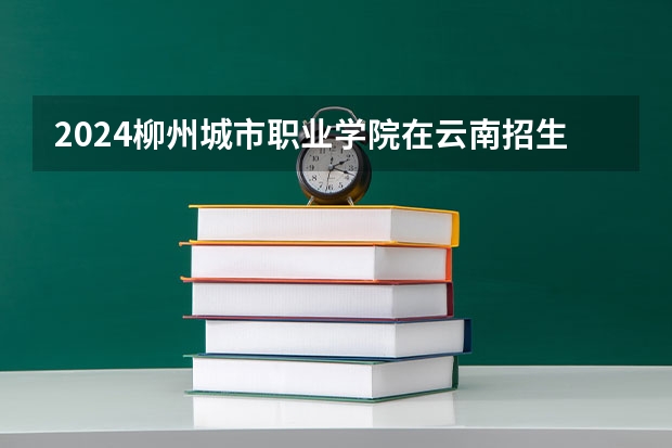 2024柳州城市职业学院在云南招生计划介绍