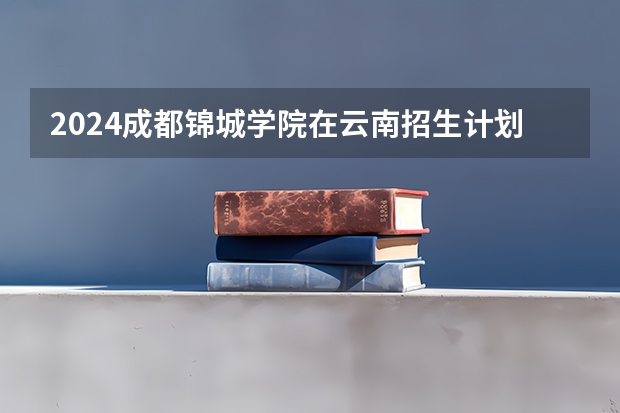 2024成都锦城学院在云南招生计划介绍