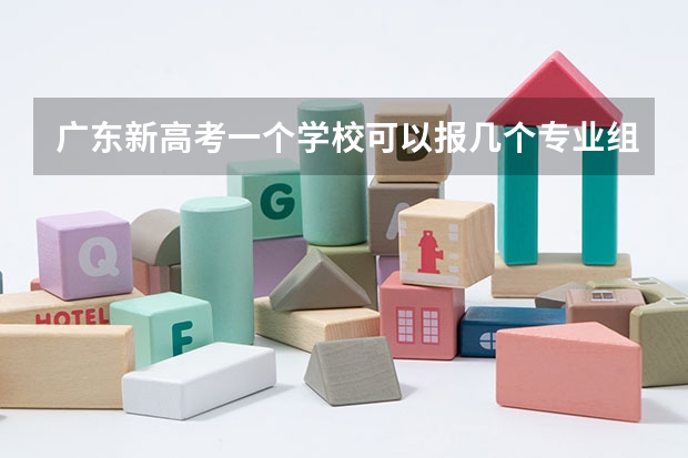 广东新高考一个学校可以报几个专业组（2023年广东高考志愿填报规则）