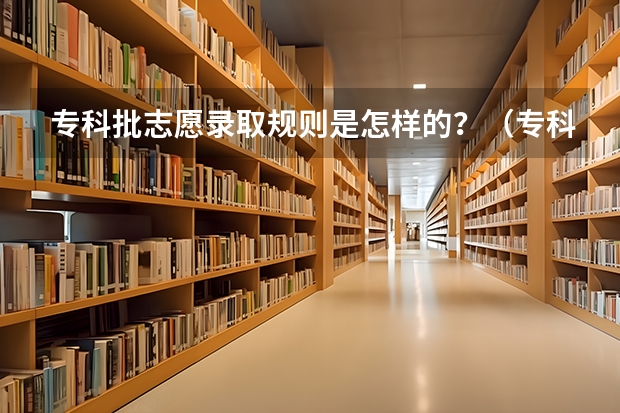 专科批志愿录取规则是怎样的？（专科第一志愿和第二志愿录取规则）