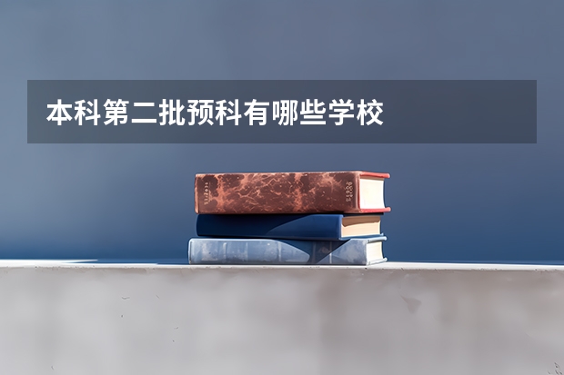 本科第二批预科有哪些学校
