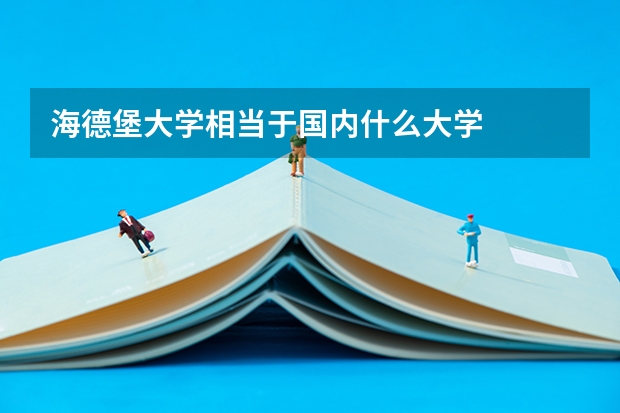 海德堡大学相当于国内什么大学