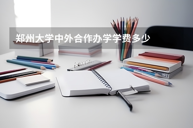 郑州大学中外合作办学学费多少