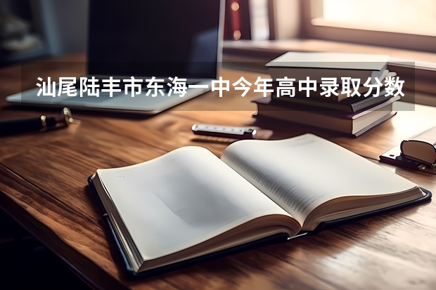 汕尾陆丰市东海一中今年高中录取分数线估计会佷高吗