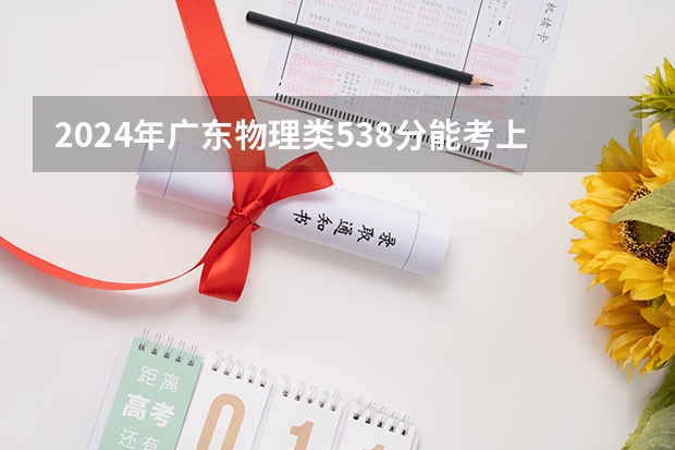 2024年广东物理类538分能考上什么大学？