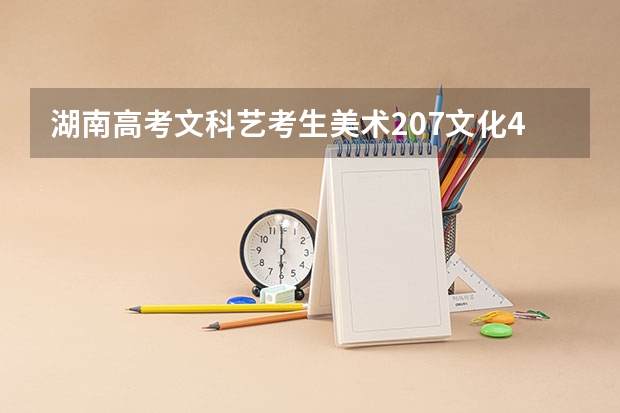 湖南高考文科艺考生美术207文化416可以填本科非平行志愿吗？