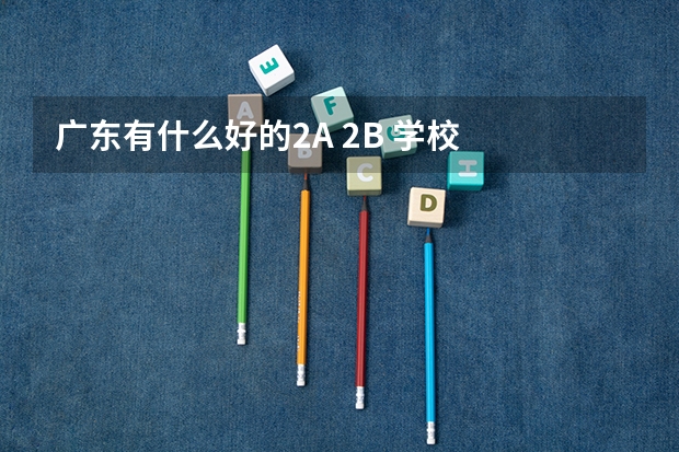 广东有什么好的2A 2B 学校