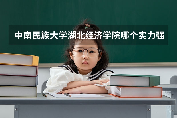 中南民族大学湖北经济学院哪个实力强??