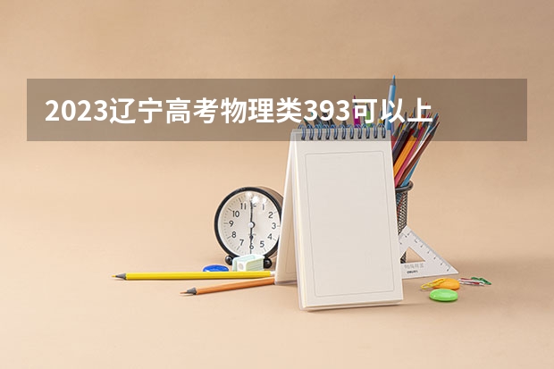 2023辽宁高考物理类393可以上什么大学