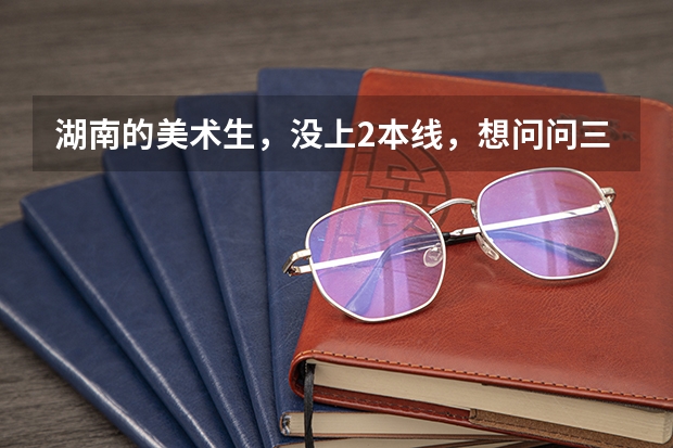 湖南的美术生,没上2本线,想问问三本跟专科是怎么回事啊?