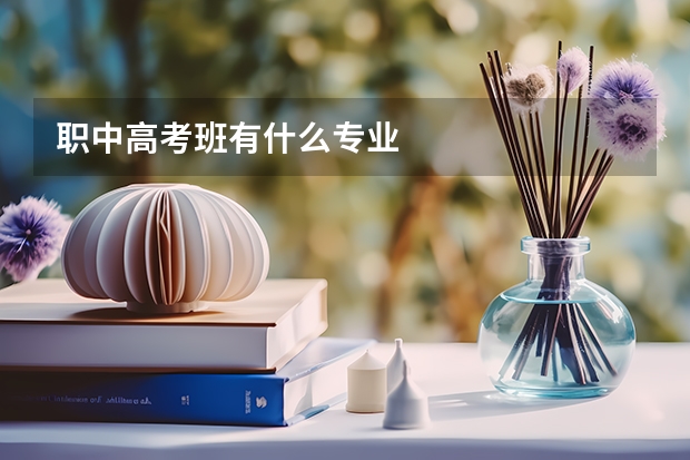 职中高考班有什么专业