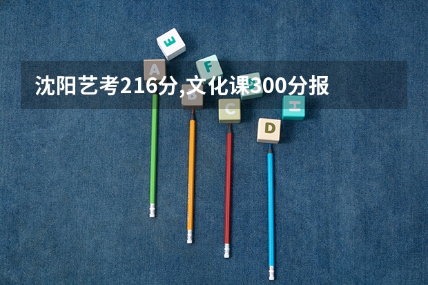 沈阳艺考216分,文化课300分报哪些学校