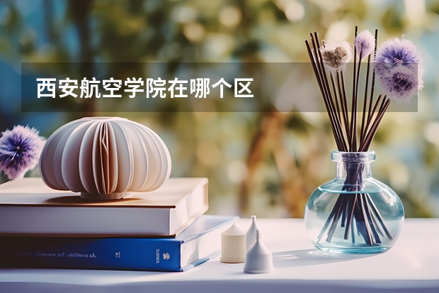 西安航空学院在哪个区