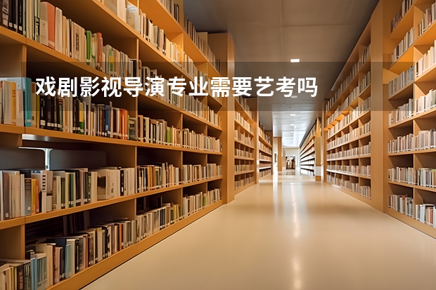 戏剧影视导演专业需要艺考吗