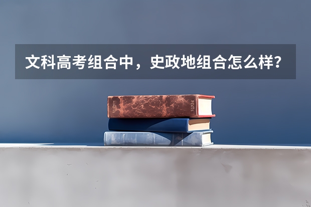 文科高考组合中，史政地组合怎么样？