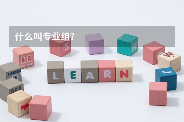 什么叫专业组？