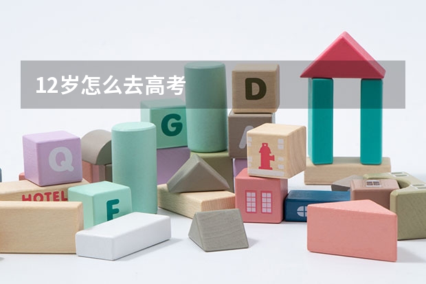 12岁怎么去高考