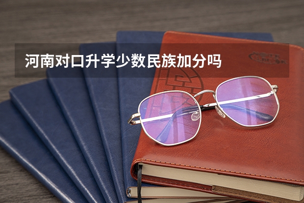 河南对口升学少数民族加分吗
