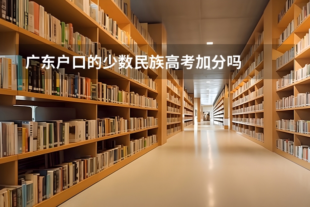 广东户口的少数民族高考加分吗