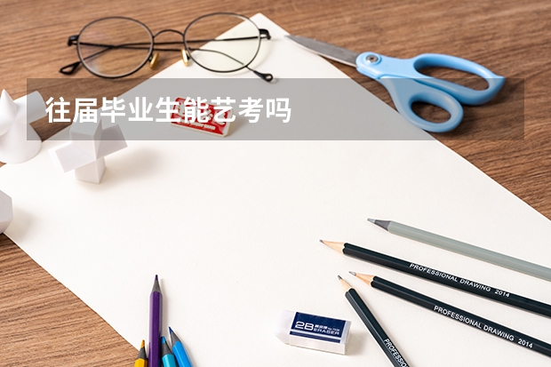 往届毕业生能艺考吗