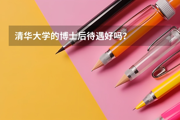 清华大学的博士后待遇好吗？