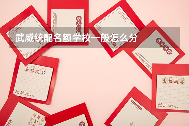 武威统配名额学校一般怎么分