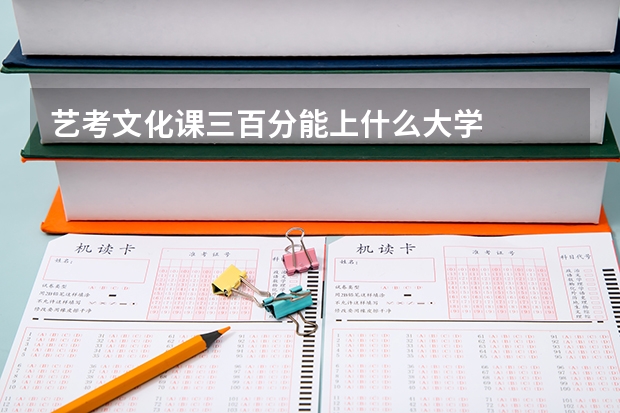 艺考文化课三百分能上什么大学
