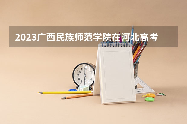 2023广西民族师范学院在河北高考专业招生计划多少人(历年招生计划)