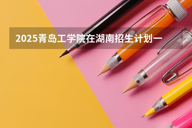 2025青岛工学院在湖南招生计划一览表