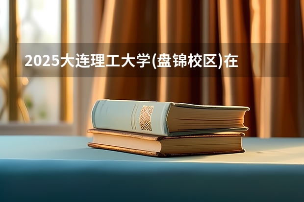 2025大连理工大学(盘锦校区)在福建招生计划一览表