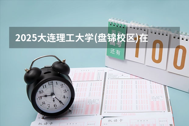 2025大连理工大学(盘锦校区)在天津招生计划一览表