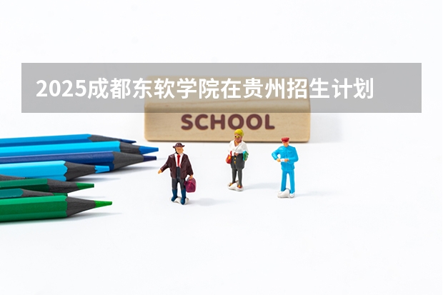 2025成都东软学院在贵州招生计划一览表