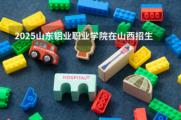 2025山东铝业职业学院在山西招生计划一览表