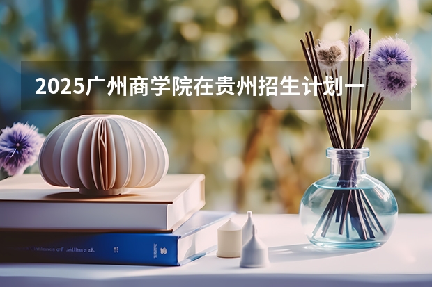 2025广州商学院在贵州招生计划一览表
