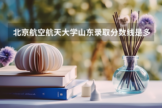 北京航空航天大学山东录取分数线是多少（招生人数）