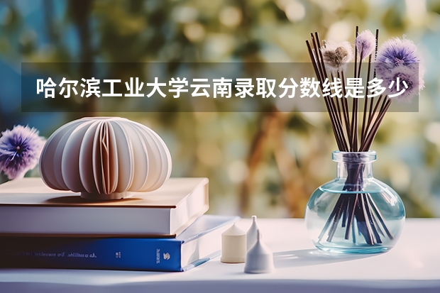 哈尔滨工业大学云南录取分数线是多少（招生人数）