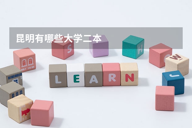 昆明有哪些大学二本