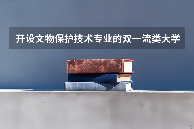 开设文物保护技术专业的双一流类大学有几所