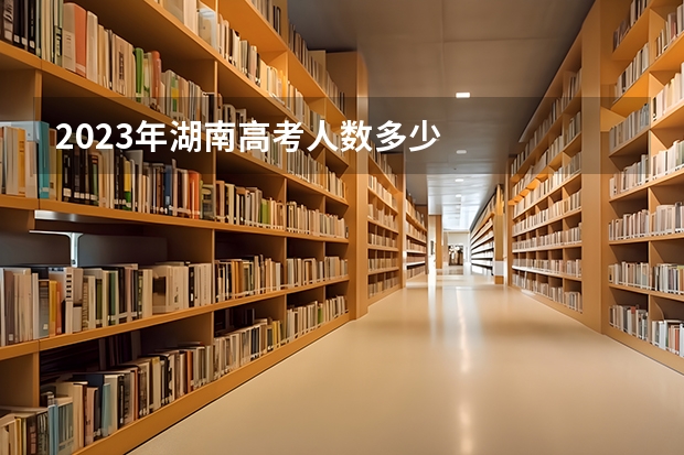 2023年湖南高考人数多少